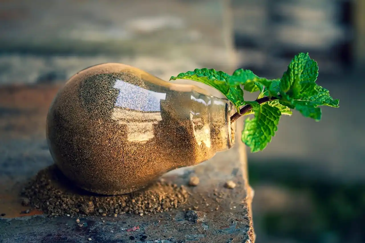 Gestão de Ativos e Conformidade